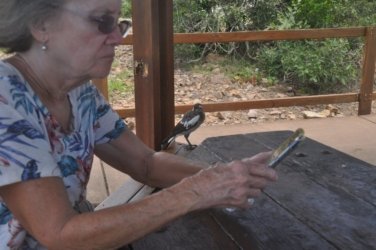 Plantation Hill Bowen 054 DSC 0398 Plantation Hill Bowen 054 DSC 0398