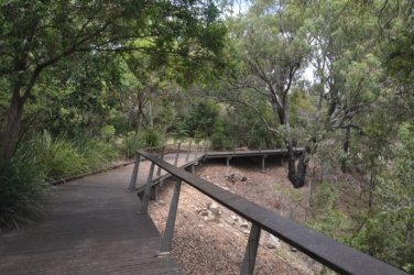 Tannum Sands Canoe Point 025 DSC 0200 Tannum Sands Canoe Point 025 DSC 0200