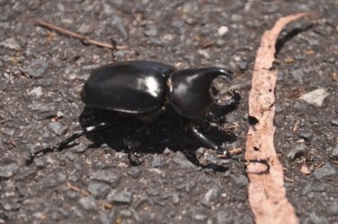 Toorbul 006 DSC 0097 Toorbul 006 DSC 0097