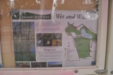 Deagon Wetlands 001 DSC 0483 Deagon Wetlands 001 DSC 0483