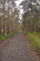 Deagon Wetlands 033 DSC 0515 Deagon Wetlands 033 DSC 0515