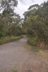 Deagon Wetlands 046 DSC 0528 Deagon Wetlands 046 DSC 0528