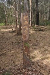 Deagon Wetlands 050 DSC 0532 Deagon Wetlands 050 DSC 0532