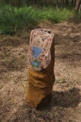 Deagon Wetlands 051 DSC 0533 Deagon Wetlands 051 DSC 0533