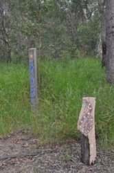 Deagon Wetlands 054 DSC 0536 Deagon Wetlands 054 DSC 0536