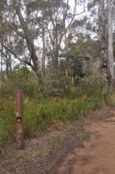 Deagon Wetlands 056 DSC 0538 Deagon Wetlands 056 DSC 0538