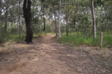 Deagon Wetlands 064 DSC 0546 Deagon Wetlands 064 DSC 0546