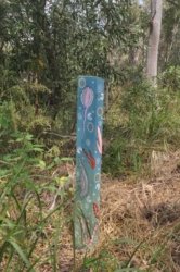 Deagon Wetlands 065 DSC 0547 Deagon Wetlands 065 DSC 0547