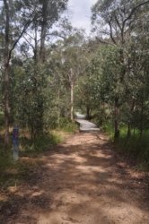 Deagon Wetlands 067 DSC 0549 Deagon Wetlands 067 DSC 0549
