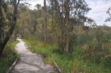Deagon Wetlands 068 DSC 0550 Deagon Wetlands 068 DSC 0550