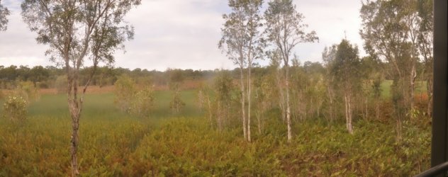 Deagon Wetlands Deagon Wetlands