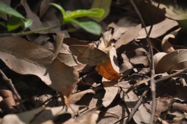 Lake Samsonvale 006 DSC 0406 Lake Samsonvale 006 DSC 0406