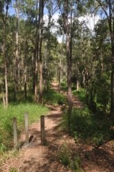 Lake Samsonvale 009 DSC 0409 Lake Samsonvale 009 DSC 0409