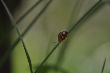 Lake Samsonvale 020 DSC 0420 Lake Samsonvale 020 DSC 0420