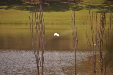 Lake Samsonvale 032 DSC 0432 Lake Samsonvale 032 DSC 0432