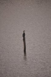 Lake Samsonvale 035 DSC 0435 Lake Samsonvale 035 DSC 0435