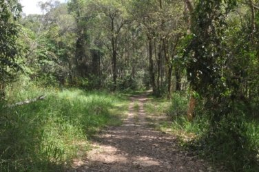 Lake Samsonvale 039 DSC 0439 Lake Samsonvale 039 DSC 0439