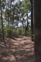 Lake Samsonvale 042 DSC 0442 Lake Samsonvale 042 DSC 0442