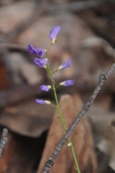 Lake Samsonvale 047 DSC 0447 Lake Samsonvale 047 DSC 0447