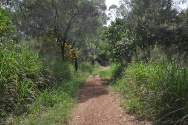 Lake Samsonvale 052 DSC 0452 Lake Samsonvale 052 DSC 0452