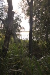 Lake Samsonvale 055 DSC 0455 Lake Samsonvale 055 DSC 0455