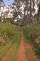 Lake Samsonvale 056 DSC 0456 Lake Samsonvale 056 DSC 0456