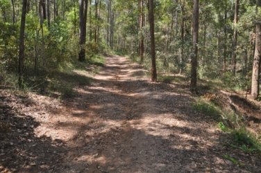 Lake Samsonvale 062 DSC 0462 Lake Samsonvale 062 DSC 0462