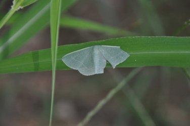 Lake Samsonvale 072 DSC 0472 Lake Samsonvale 072 DSC 0472