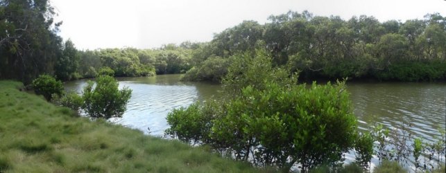 Boondall Wetlands P1 Boondall Wetlands P1