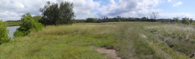 Boondall Wetlands P2 Boondall Wetlands P2