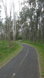 Boondall Wetlands0422 005 P1000067 Boondall Wetlands0422 005 P1000067