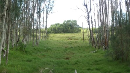 Boondall Wetlands0422 007 P1000069 Boondall Wetlands0422 007 P1000069