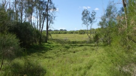 Boondall Wetlands0422 022 P1000088 Boondall Wetlands0422 022 P1000088