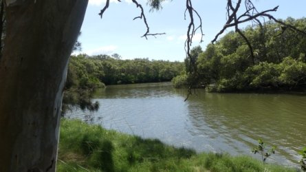 Boondall Wetlands0422 060 P1000129 Boondall Wetlands0422 060 P1000129