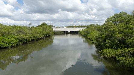 Boondall Wetlands0422 071 P1000140 Boondall Wetlands0422 071 P1000140