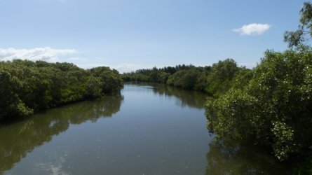 Boondall Wetlands0422 072 P1000141 Boondall Wetlands0422 072 P1000141