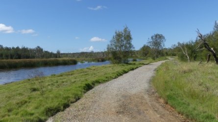 Boondall Wetlands0422 081 P1000150 Boondall Wetlands0422 081 P1000150