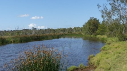 Boondall Wetlands0422 096 P1000165 Boondall Wetlands0422 096 P1000165