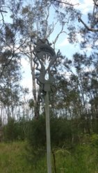 Boondall Wetlands0422 127 P1000209 Boondall Wetlands0422 127 P1000209