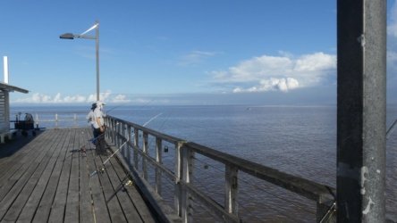 Clontarf May22 008 P1000304 Clontarf May22 008 P1000304