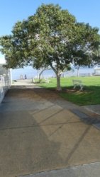 Clontarf May22 015 P1000312 Clontarf May22 015 P1000312