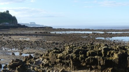 Clontarf May22 024 P1000322 Clontarf May22 024 P1000322