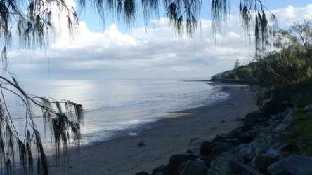 Clontarf May22 035 P1000333 Clontarf May22 035 P1000333