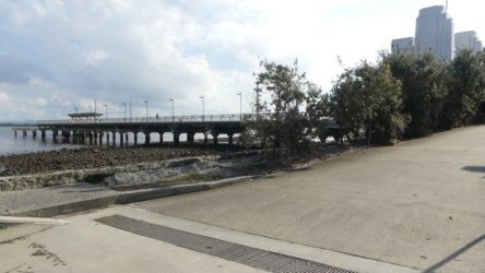 Clontarf May22 073 P1000373 Clontarf May22 073 P1000373