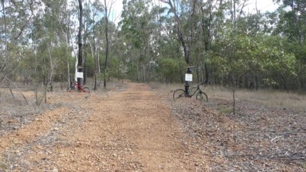 Barambah Bush 003 P1000754 Copy scaled Barambah Bush 003 P1000754 Copy scaled
