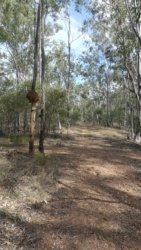 Barambah Bush 007 P1000758 Copy scaled Barambah Bush 007 P1000758 Copy scaled