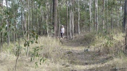 Barambah Bush 010 P1000761 scaled Barambah Bush 010 P1000761 scaled