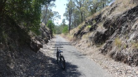 Barambah Bush 045 P1000798 Copy scaled Barambah Bush 045 P1000798 Copy scaled