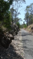 Barambah Bush 046 P1000799 scaled Barambah Bush 046 P1000799 scaled