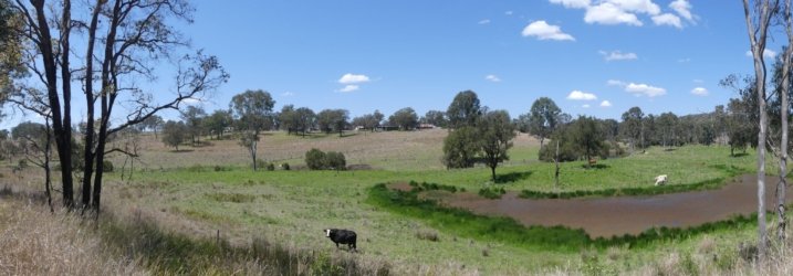 Barambah Bush 054 P1000807 scaled Barambah Bush 054 P1000807 scaled